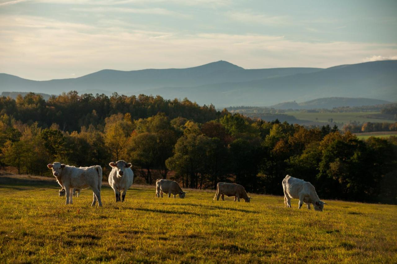 Widogruszka- Klimatyczny dom z kominkiem w Górach Grudza Exterior foto