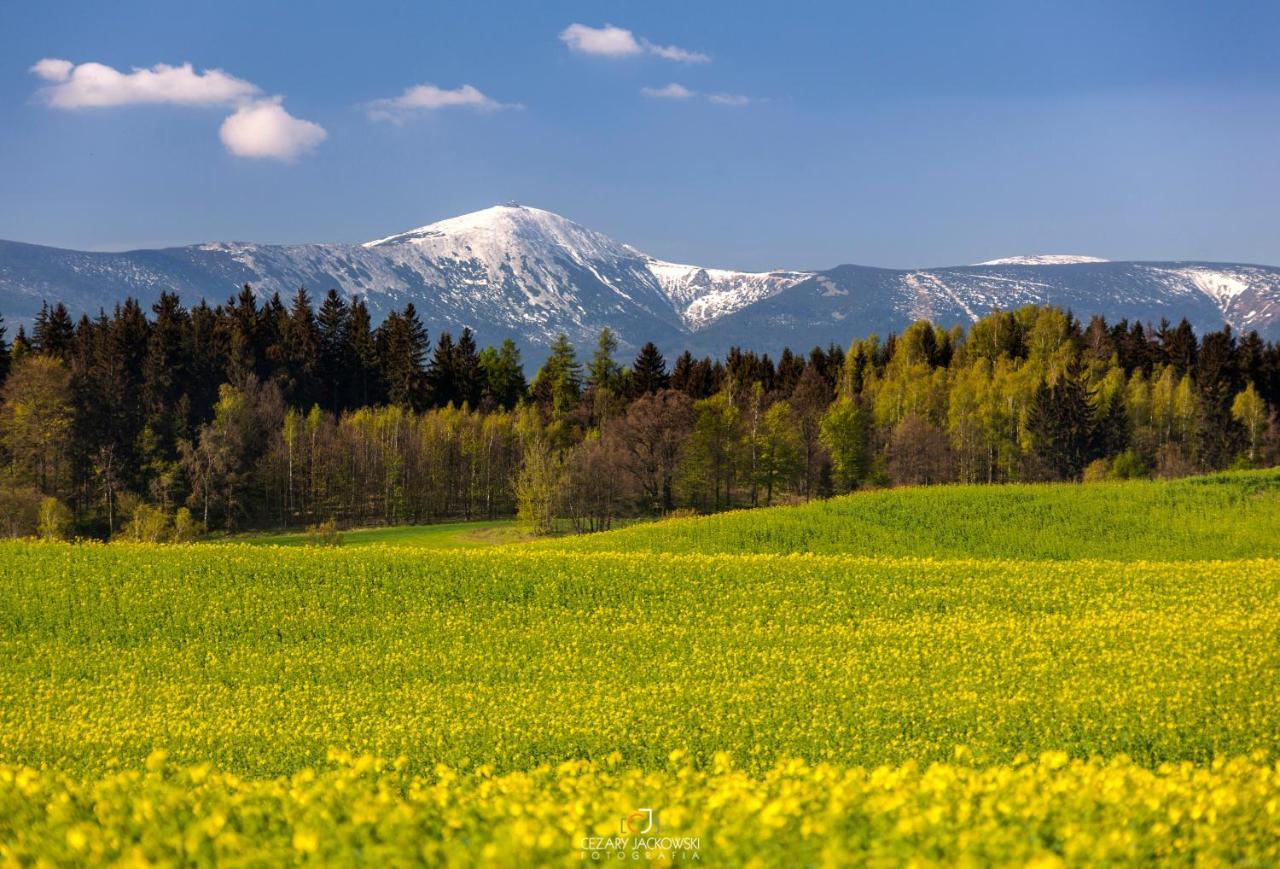 Widogruszka- Klimatyczny dom z kominkiem w Górach Grudza Exterior foto